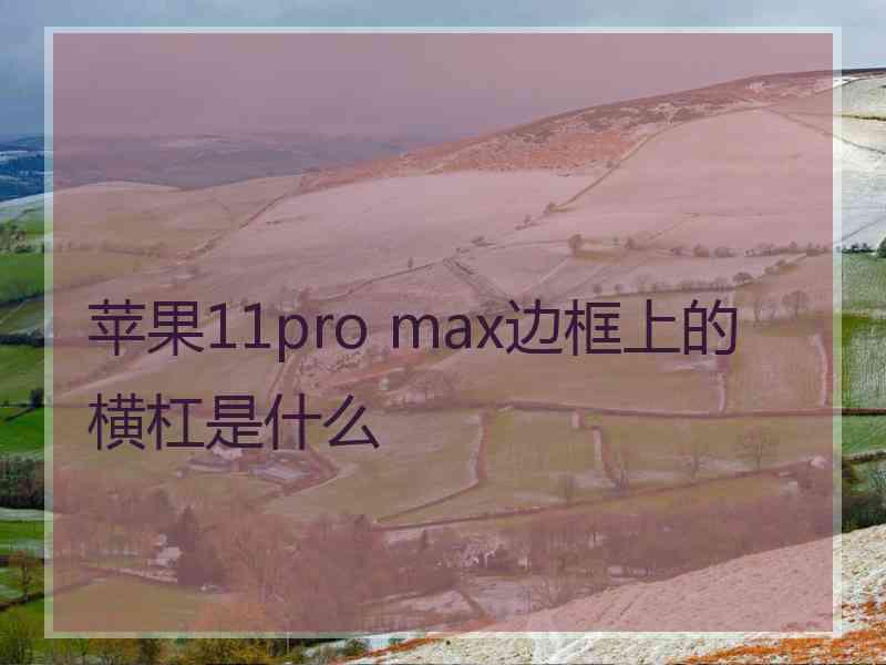 苹果11pro max边框上的横杠是什么