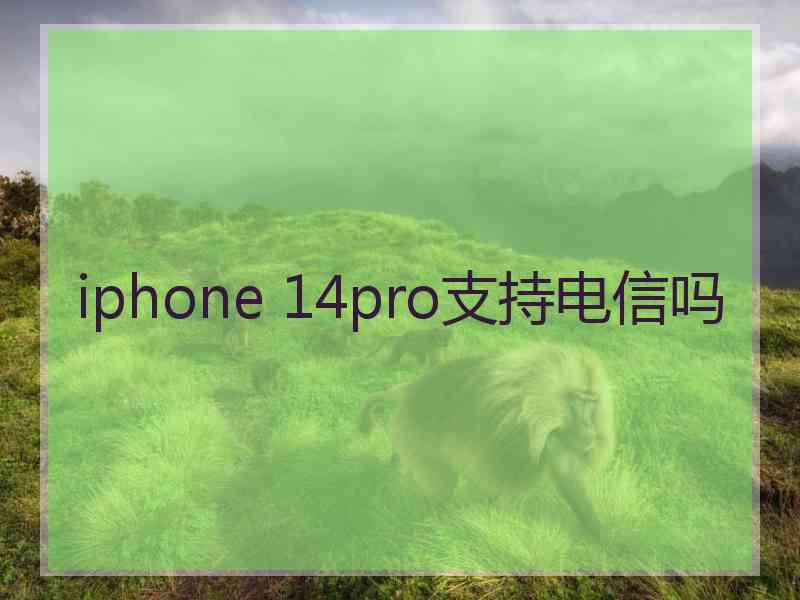 iphone 14pro支持电信吗