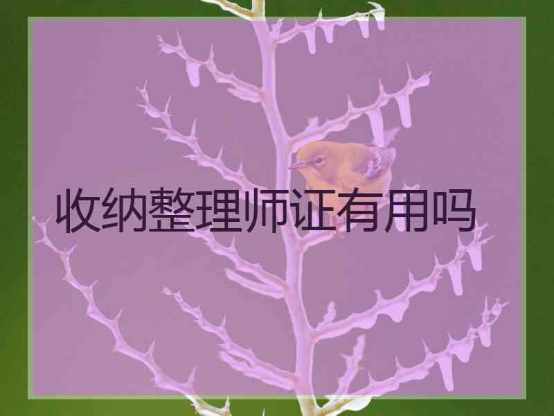 收纳整理师证有用吗