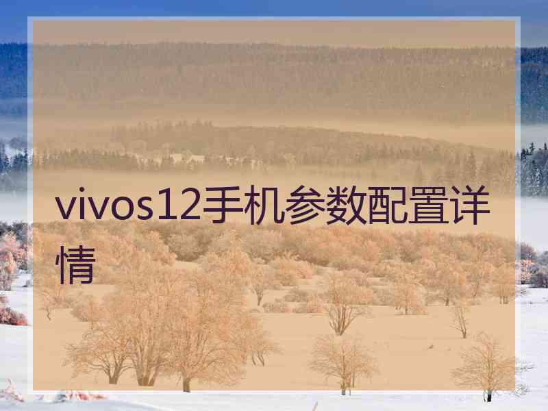 vivos12手机参数配置详情