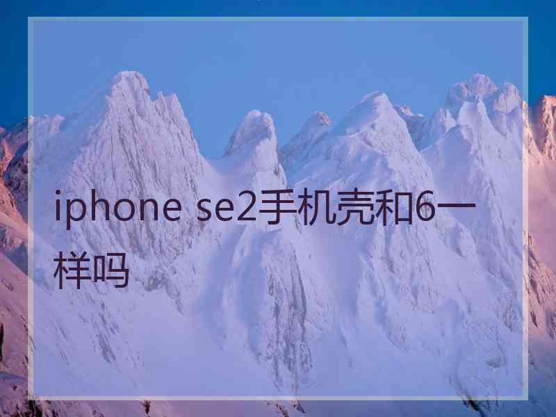 iphone se2手机壳和6一样吗