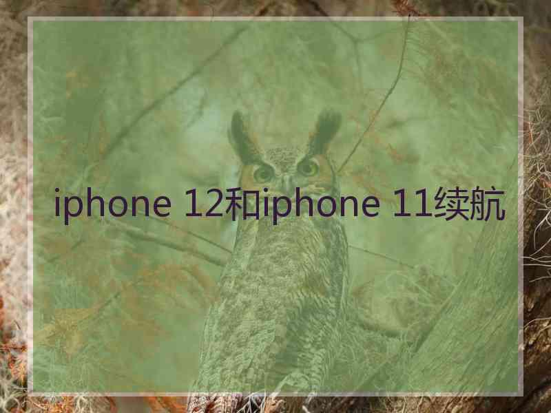 iphone 12和iphone 11续航