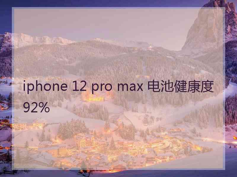 iphone 12 pro max 电池健康度92%