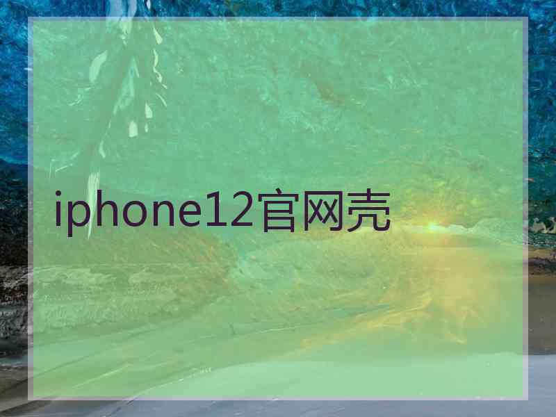 iphone12官网壳