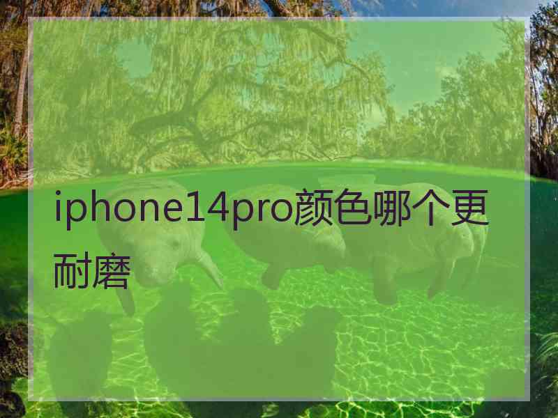 iphone14pro颜色哪个更耐磨