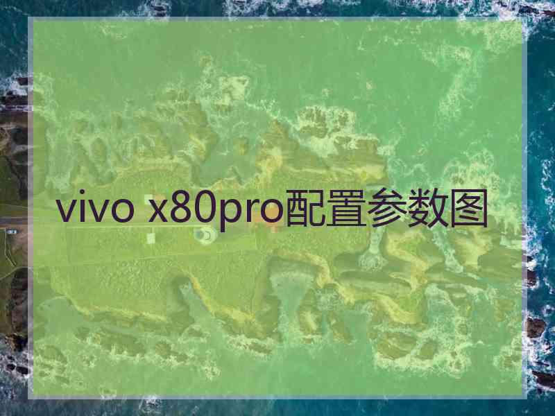 vivo x80pro配置参数图