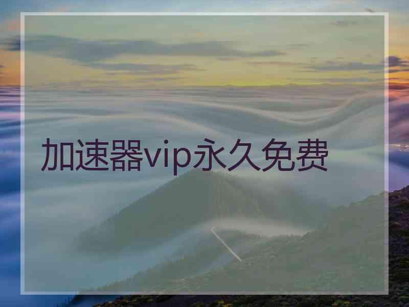 加速器vip永久免费