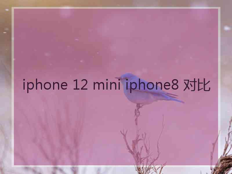 iphone 12 mini iphone8 对比