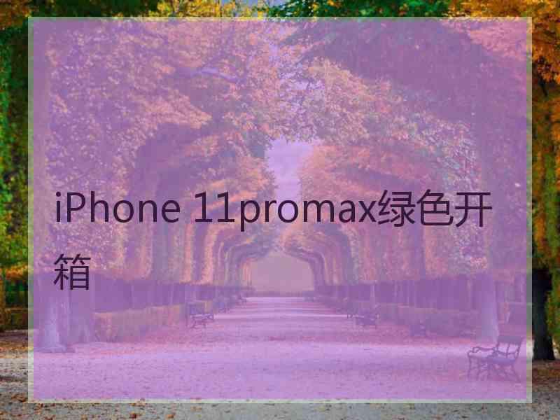 iPhone 11promax绿色开箱