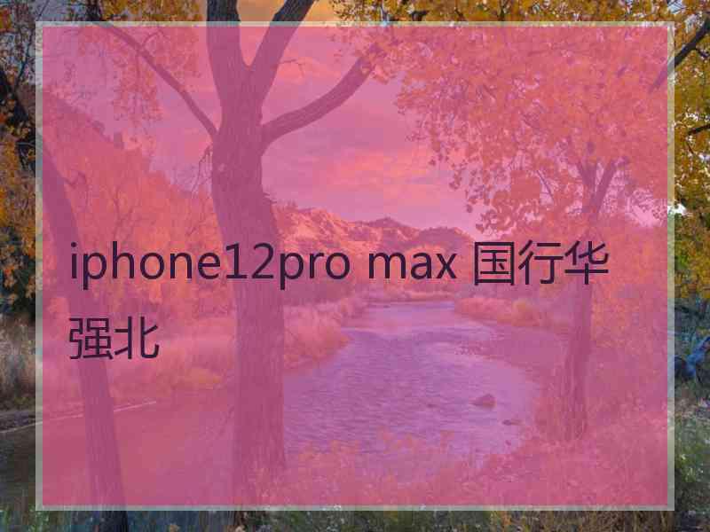 iphone12pro max 国行华强北