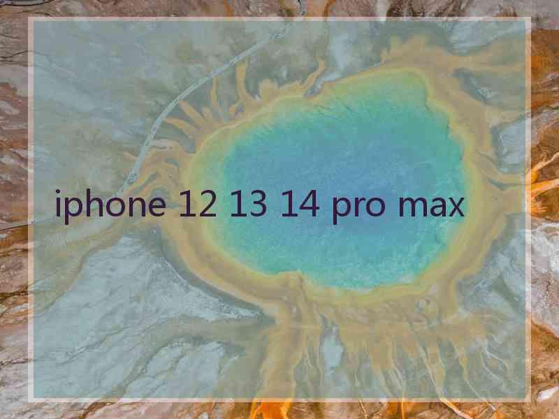 iphone 12 13 14 pro max