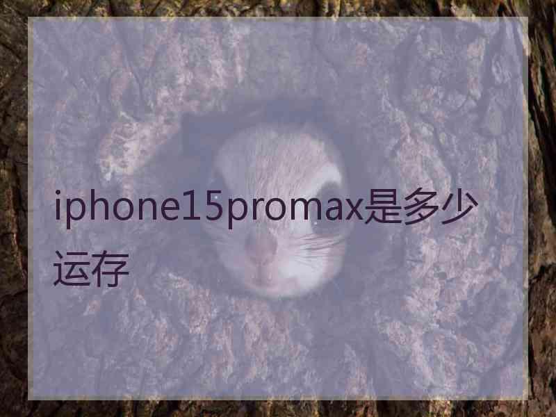 iphone15promax是多少运存