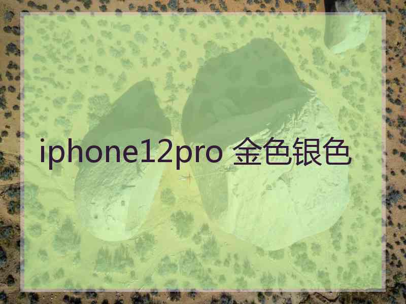 iphone12pro 金色银色