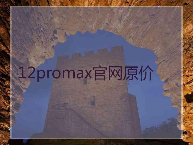 12promax官网原价