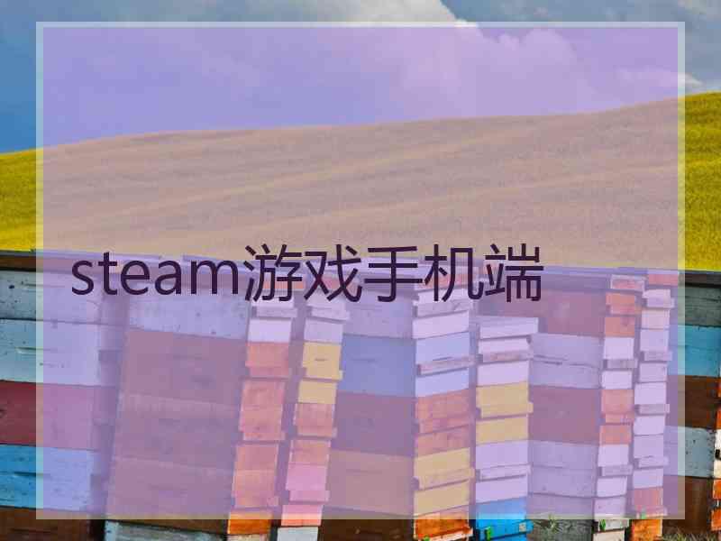 steam游戏手机端