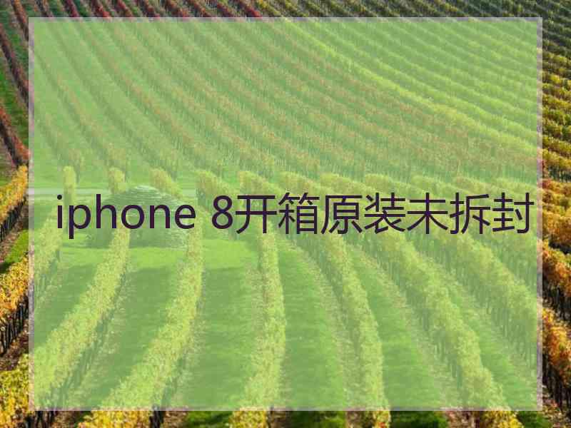 iphone 8开箱原装未拆封