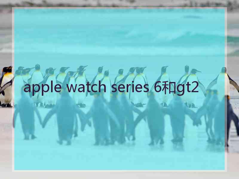 apple watch series 6和gt2