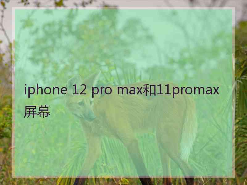 iphone 12 pro max和11promax屏幕