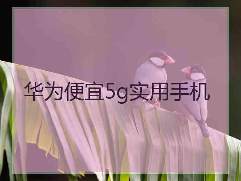 华为便宜5g实用手机