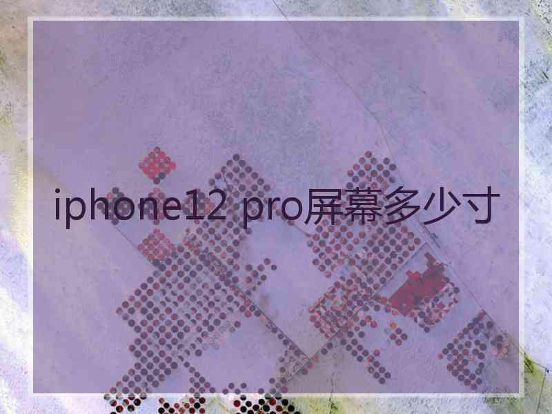 iphone12 pro屏幕多少寸