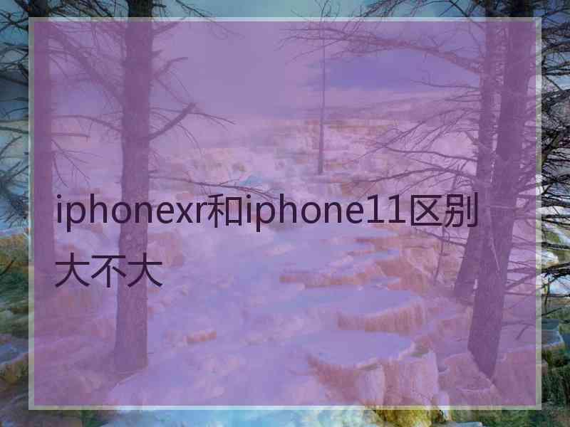 iphonexr和iphone11区别大不大