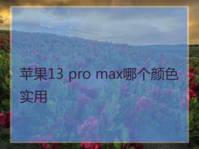 苹果13 pro max哪个颜色实用