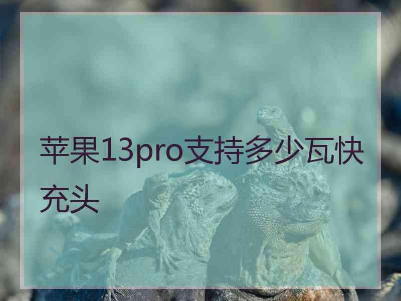 苹果13pro支持多少瓦快充头