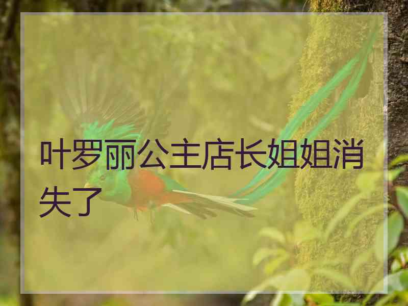 叶罗丽公主店长姐姐消失了