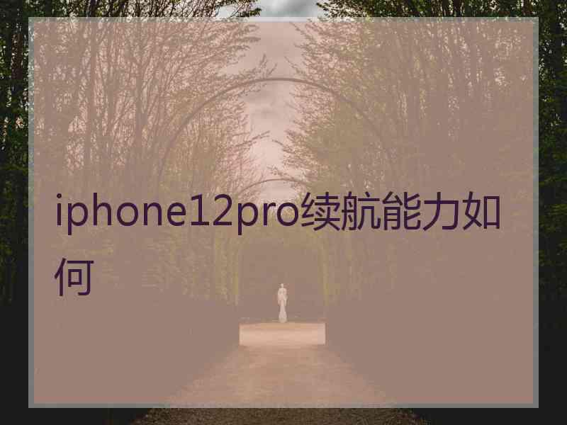 iphone12pro续航能力如何