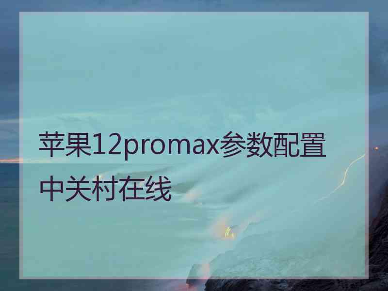 苹果12promax参数配置中关村在线