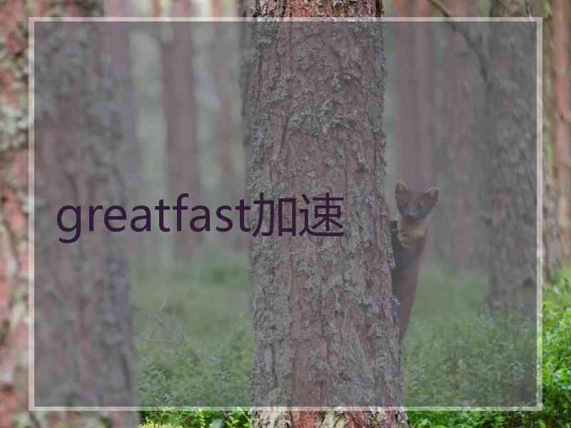 greatfast加速