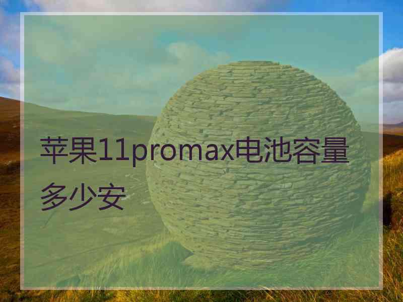 苹果11promax电池容量多少安