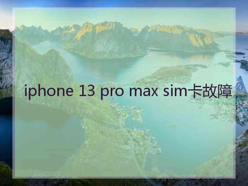 iphone 13 pro max sim卡故障