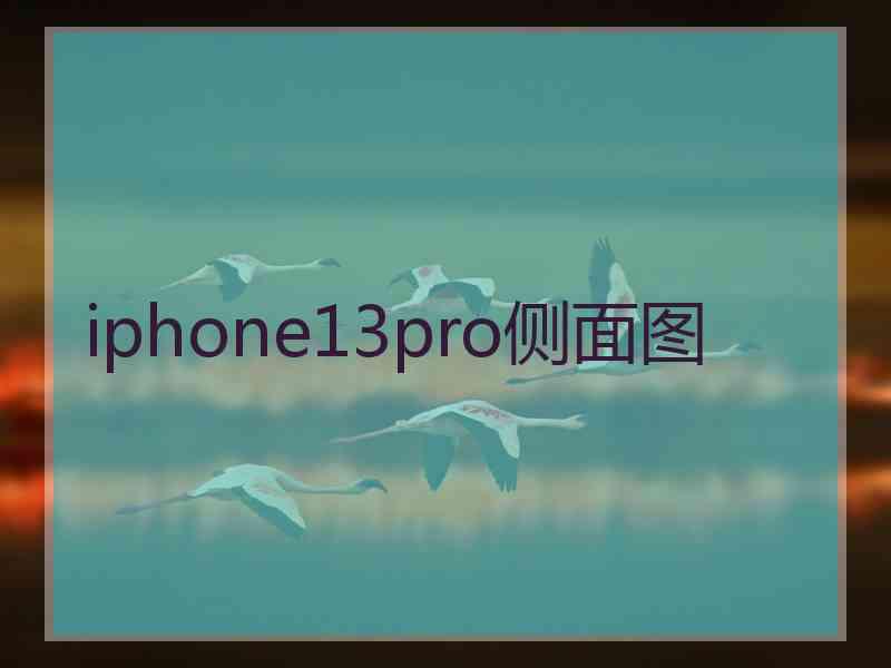 iphone13pro侧面图