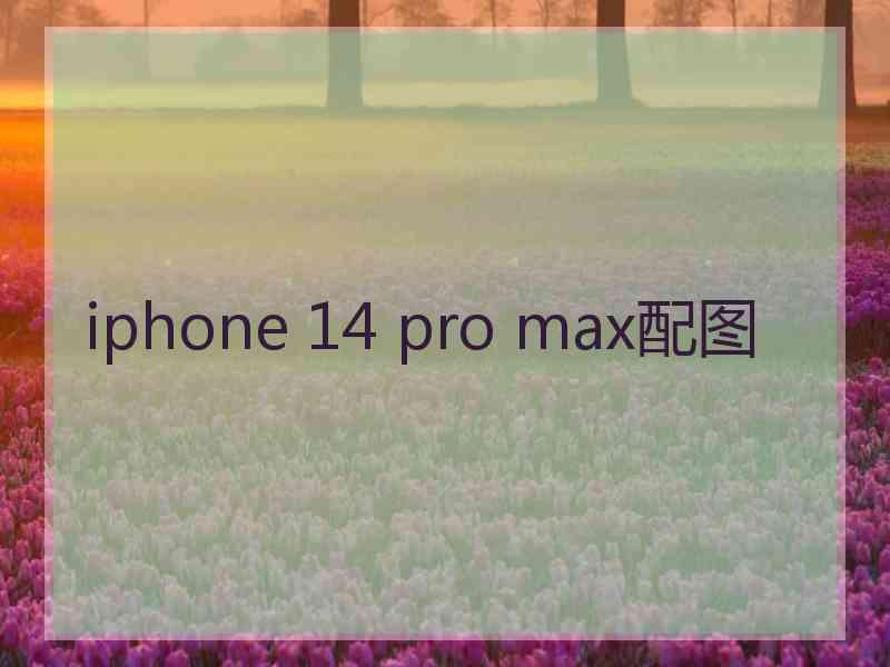 iphone 14 pro max配图