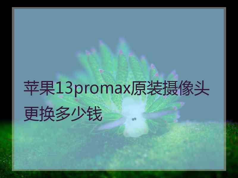 苹果13promax原装摄像头更换多少钱