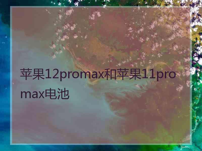 苹果12promax和苹果11promax电池