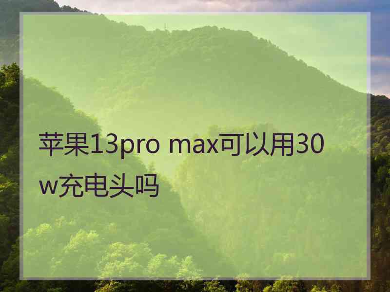 苹果13pro max可以用30w充电头吗