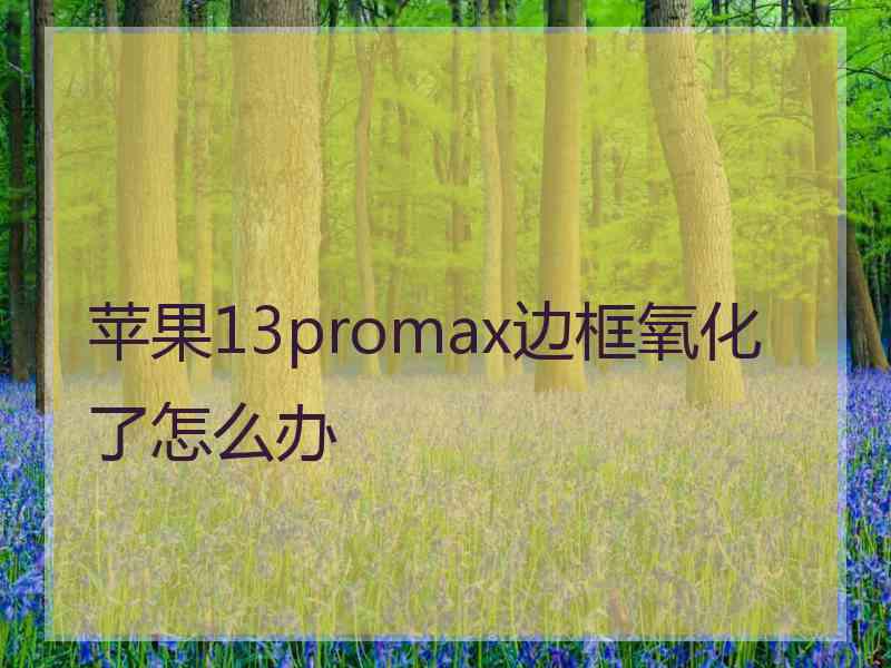 苹果13promax边框氧化了怎么办