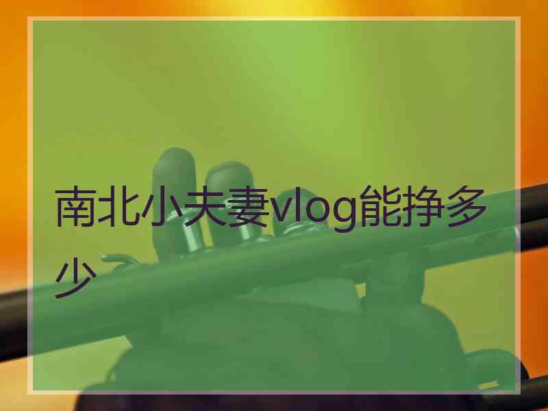 南北小夫妻vlog能挣多少