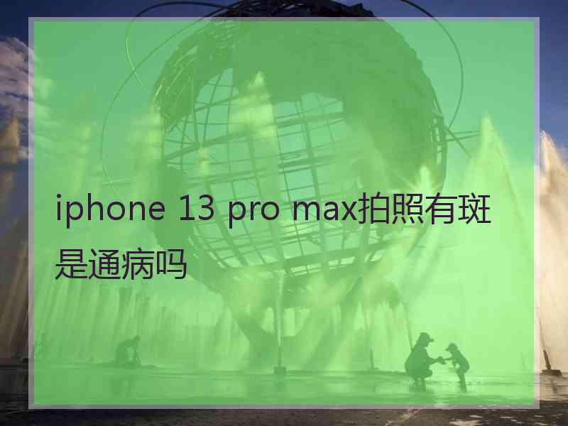 iphone 13 pro max拍照有斑是通病吗