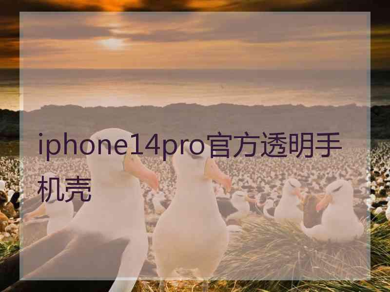 iphone14pro官方透明手机壳