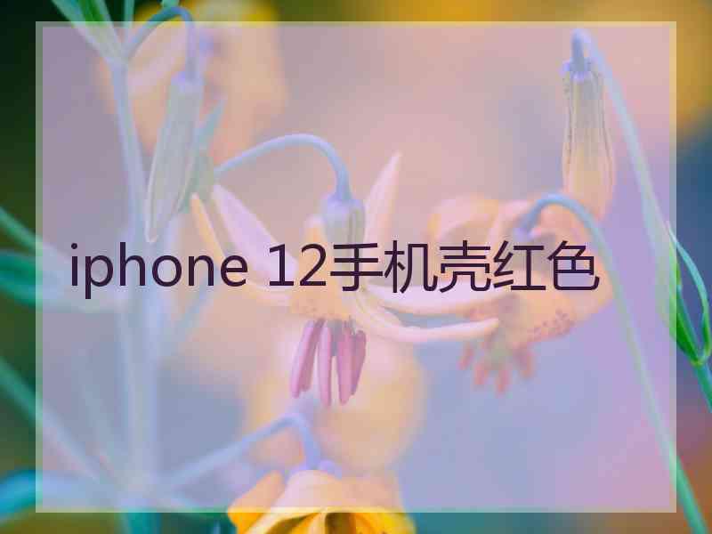 iphone 12手机壳红色