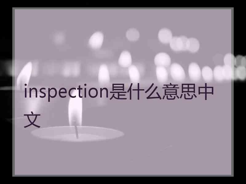 inspection是什么意思中文