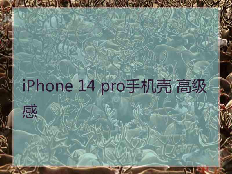 iPhone 14 pro手机壳 高级感