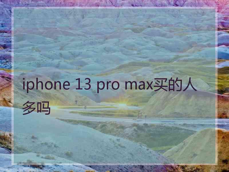 iphone 13 pro max买的人多吗