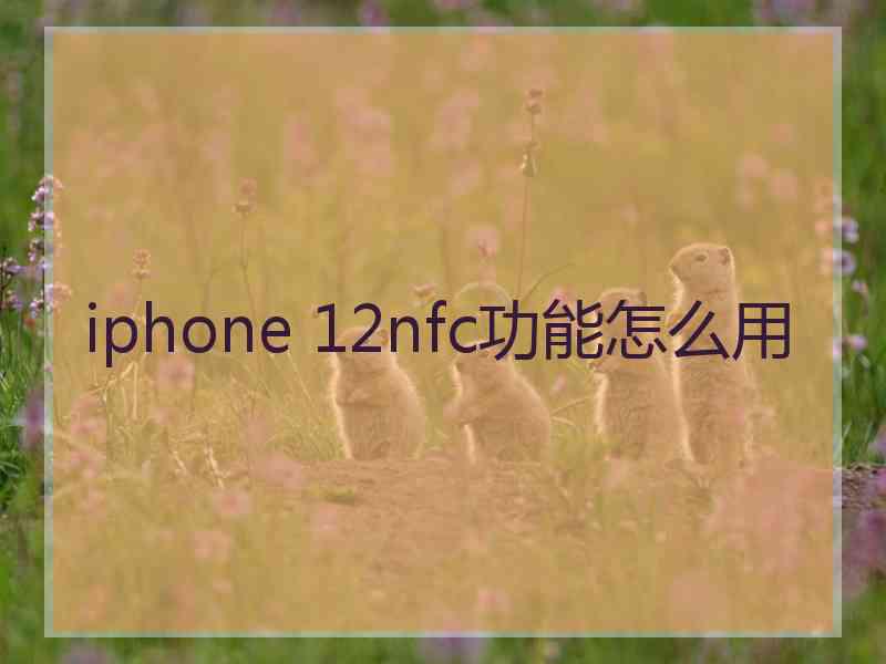 iphone 12nfc功能怎么用