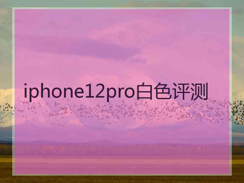 iphone12pro白色评测