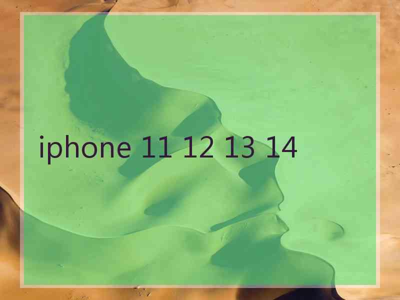 iphone 11 12 13 14