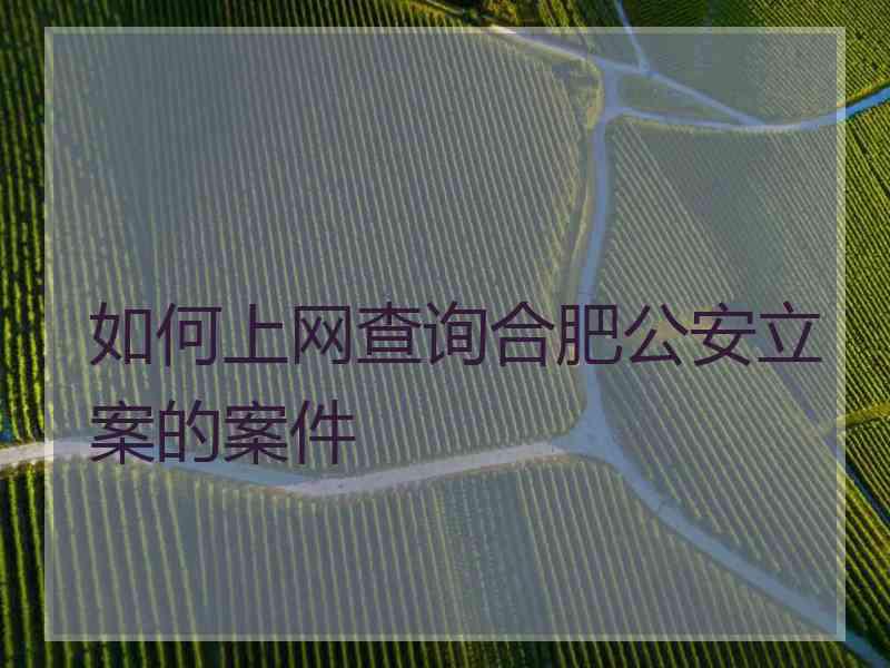 如何上网查询合肥公安立案的案件